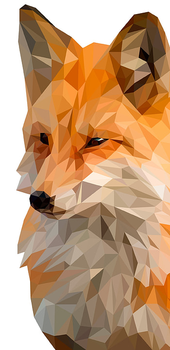 Fox, Facets HD phone wallpaper