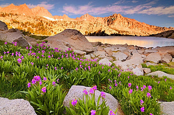 Moonlight lake, slopes, glow, peaks, grass, rocks, stones, mountain, lake, summer, reflection, moonlight, cliffs, nature, flowers, sky, amazing HD wallpaper