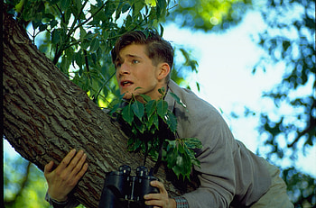Back to the Future - Time-Travel Adventure Scene, movie, Back To The Future HD wallpaper