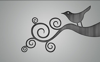 Birdy, white, black, bird, tree HD wallpaper
