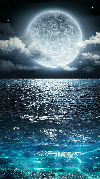 Monochromatic moonlight, Midnight beauty, Enchanting glow, Nighttime tranquility HD phone wallpaper
