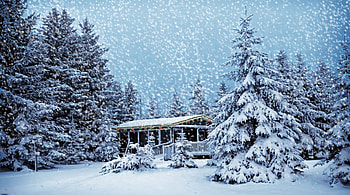 Christmas Snowstorm, winter, trees, snow snowstorm, christmas HD wallpaper