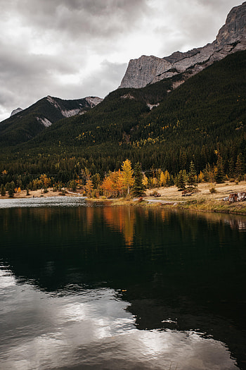 Nature, Autumn, Rock, Lake, Forest HD phone wallpaper
