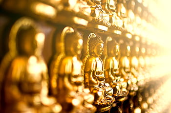 Row of golden Buddha statues in soft focus, symbolizing worship and spirituality in a sacred setting. HD wallpaper