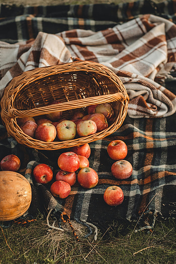 Fruits, Autumn, Apples, Miscellanea, Miscellaneous, Basket HD phone wallpaper