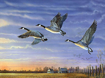 Sam Timm. Morning Flight - Canada Geese, sam timm, painting, bird, art, sunrise, geese HD wallpaper