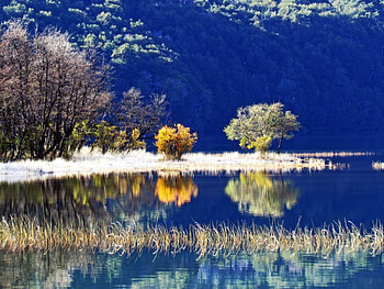 Lake Reflection, winter, reflection, trees, nature, grass, forest, lake HD wallpaper