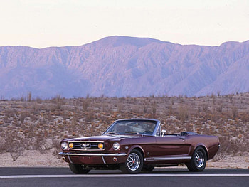 ford mustang, ford, mustang, road, car HD wallpaper