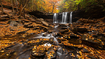Pennsylvania travels, Waterfall, Autumn leaves, USA HD wallpaper