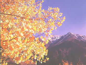 Untitled , autumn leaves, mountains HD wallpaper