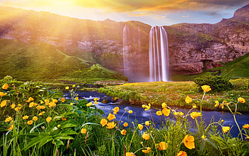 Waterfall at sunset, rays, wildflowers, waterfall, beautiful, sunset, Europe, mountain HD wallpaper