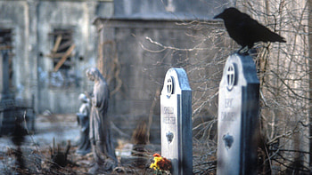 The Crow Brandon Lee HD wallpaper