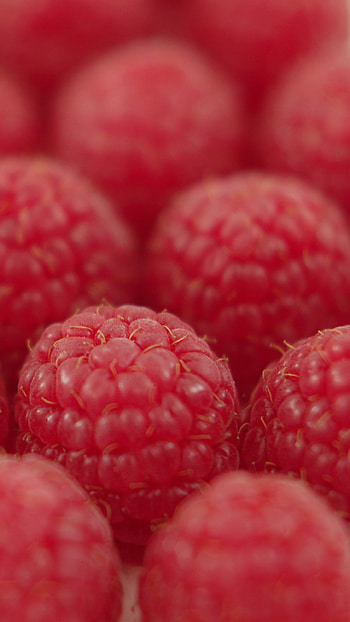 Raspberry, Fruits HD phone wallpaper