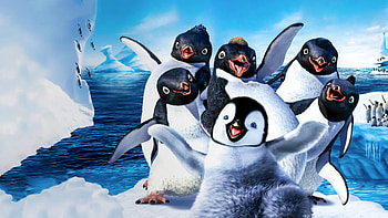 Maxima climate change film, Penguin conservation, Environmental awareness HD wallpaper
