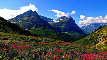 Glacier National Park, Montana, clouds, landscape, sky, flowers, meadow, usa HD wallpaper