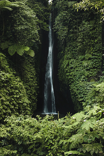 Nature, Waterfall, Break, Precipice, Vegetation, Greens HD phone wallpaper