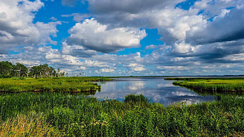 Blackwater National Wildlife Refuge, Cambridge, Maryland, clouds, landscape, sky, water, usa, reflections HD wallpaper