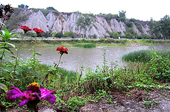 Mud volcan, trails around the lake, lake, flower HD wallpaper