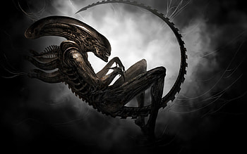 Alien, Cinema HD wallpaper