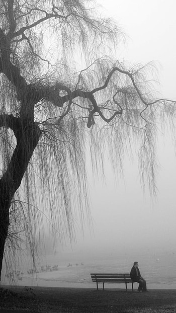 Depressing, Black And White, Sad, Nature Background HD phone wallpaper