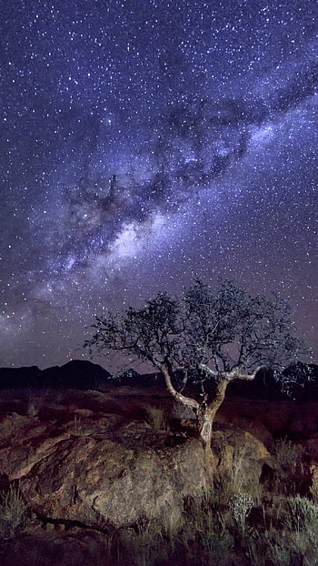 Night Sky, Night, Night Sky Dark HD phone wallpaper