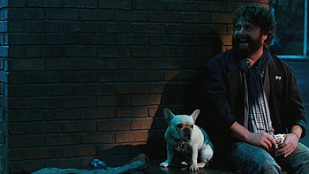 Due Date HD wallpaper