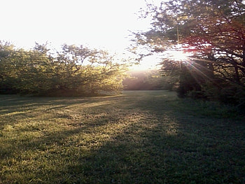 cool morning, cool, morning, sun, field HD wallpaper
