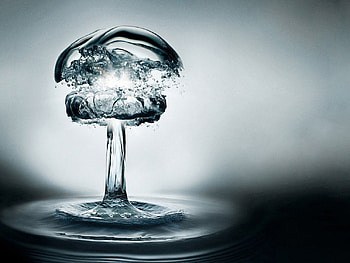 Water Tree, abstract, beautiful, nature, water, tree HD wallpaper