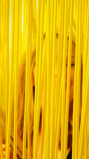 Yellow Colour, Yellow Colour Canary HD phone wallpaper