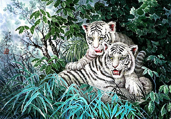 Young white Tigers, jungle, white, plants, tigers HD wallpaper