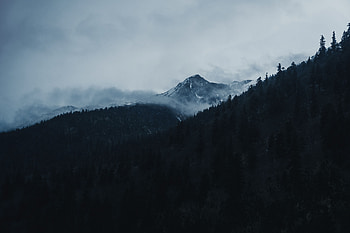 Landscape, Nature, Trees, Clouds, Mountain, Vertex, Top HD wallpaper