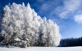 Nature, , Background HD wallpaper