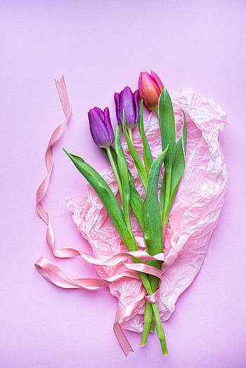 Flowers, Pink, Tulips, Violet, Bouquet, Purple HD phone wallpaper