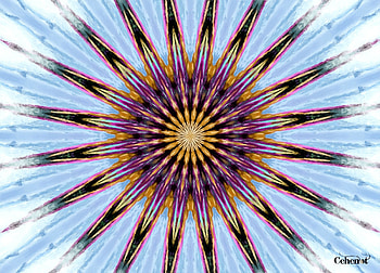 Winter flower, blue, winter, white, by cehenot, art, pink, painting, abstract, pictura, flower, texture HD wallpaper