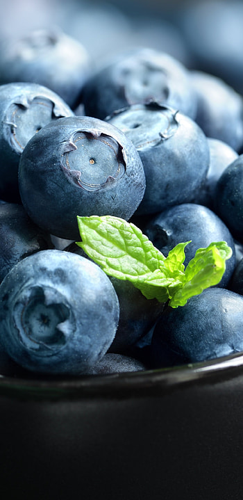 Food, Blueberry graphy, Delicious fruit HD phone wallpaper