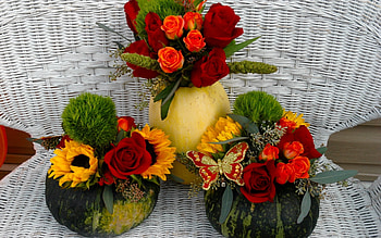 Plants, Flowers, Bouquets HD wallpaper