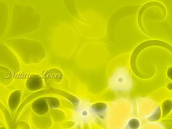 patty pattern, twisters, yeolk HD wallpaper