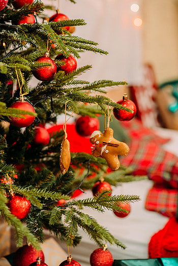Holidays, New Year, Decorations, Christmas, Christmas Tree HD phone wallpaper