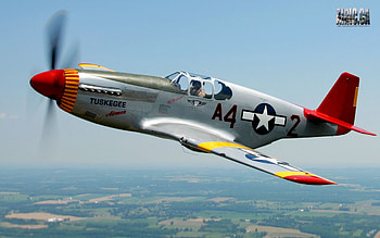 P51C mustang, 5, 1, c, p HD wallpaper