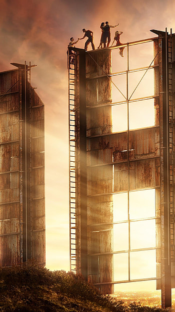 Hollywood (2022) movie HD phone wallpaper