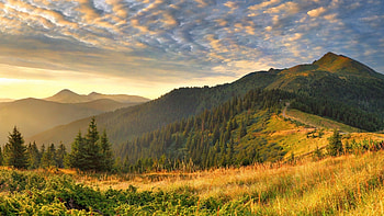 wonderful nature, clouds, meadow, mountains, forest HD wallpaper