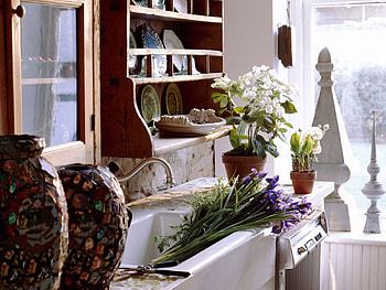 Plants, Miscellanea, Miscellaneous, Coziness, Comfort, Tables, Dining Room HD wallpaper