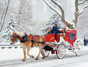 London Winter, winter, snow, Holiday, beauty HD wallpaper