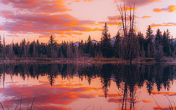 Sunset at Grand Teton National Park, Wyoming, trees, water, evening, usa, lake, reflections HD wallpaper