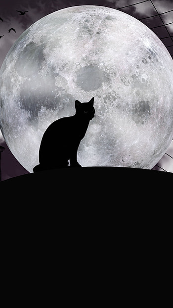 Halloween Night: Moonlit Cat Silhouette, moon, cat, holiday, halloween HD phone wallpaper
