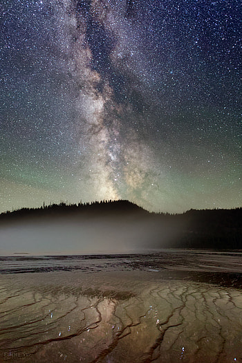 Trees, Universe, Lake, Silhouette, Starry Sky, Nebula HD phone wallpaper