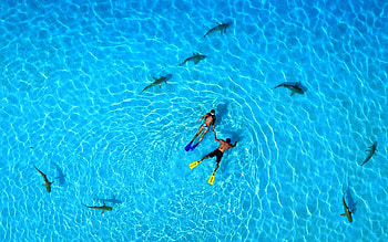 Tandem, Snorkeling HD wallpaper