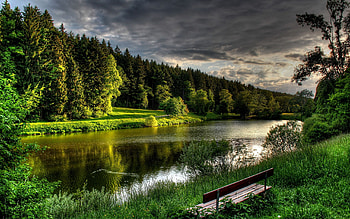 Nature, Rivers, Grass, Summer, Shore, Bank, Bench, Handsomely, It's Beautiful, Calmness, Tranquillity HD wallpaper