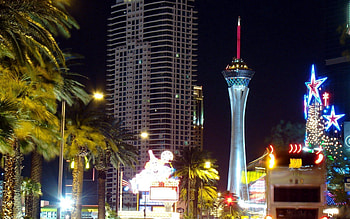 Cities, Palms, Las Vegas, Building, Entertainment HD wallpaper