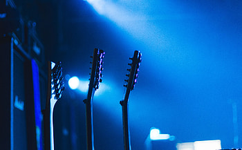 Music, Guitar, Vulture HD wallpaper